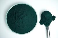 Green Fusyon se dotera en 2025 de son pilote de production de chlorelle